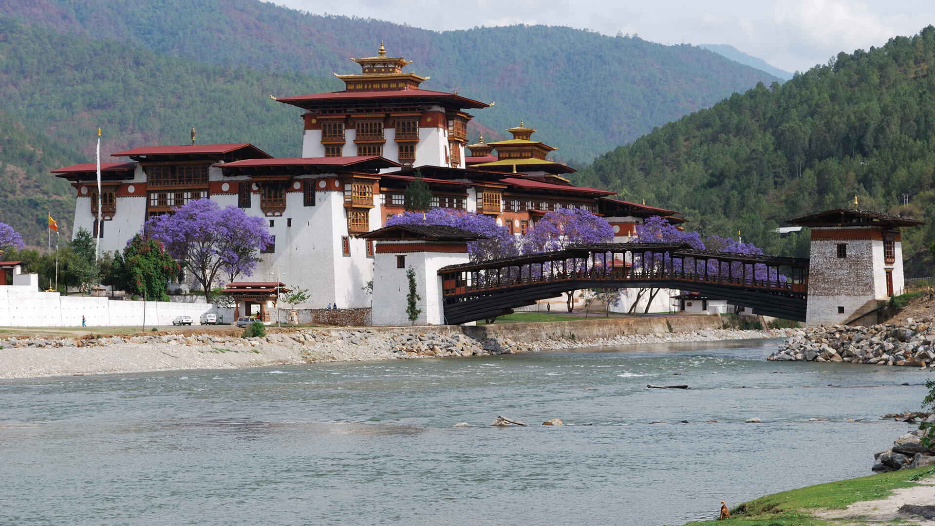 Tours in Bhutan